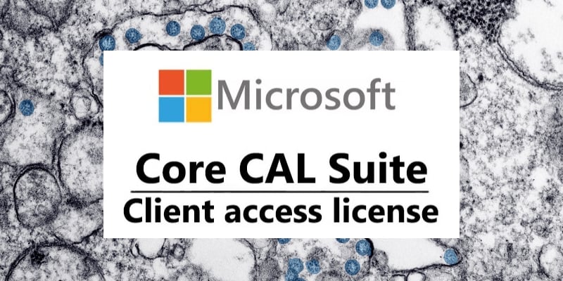 two-main-questions-about-microsoft-client-access-license-cal-what-is-it-and-why-does-it-need