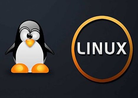 Entry Level Linux Essentials Certificate of Achievement Video Course