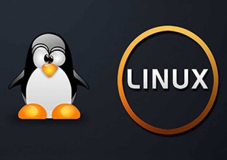 010-150: Entry Level Linux Essentials Certificate of Achievement