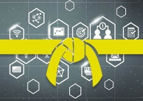 Learning Six Sigma: Yellow Belt