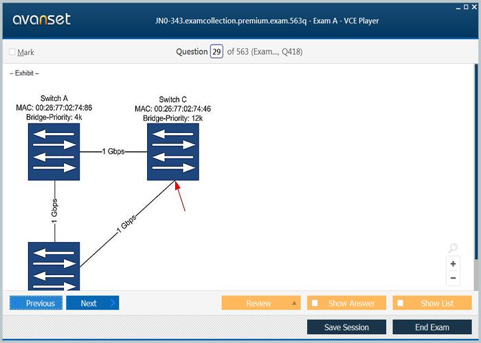 JN0-223 PDF Testsoftware