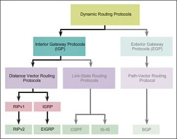 Routing Protocol Types Concepts